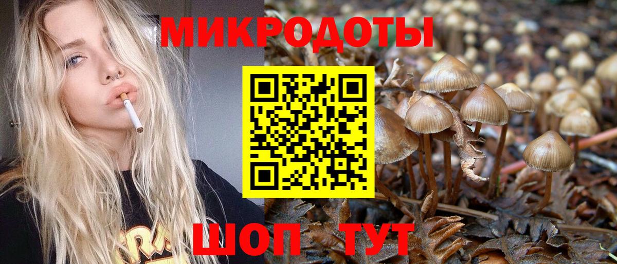 Галлюциногенные грибы Magic Shrooms  Вход с VPN  Альметьевск 