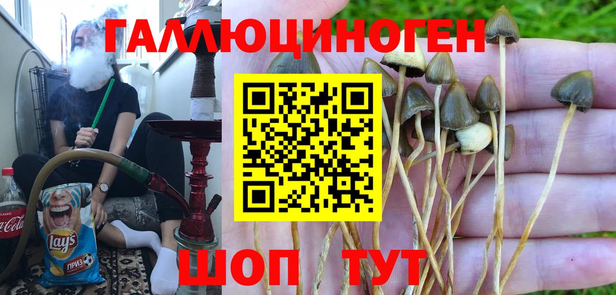 Галлюциногенные грибы GOLDEN TEACHER Альметьевск